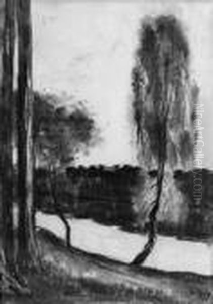 Birken An Einem Ufer - view 1
