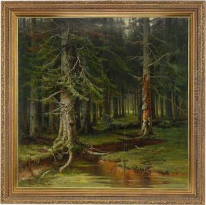 A Forest A Forest