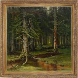 Forest Landscape Forest Landscape