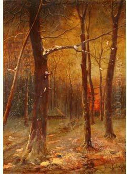 A Travers La Foret - view 1