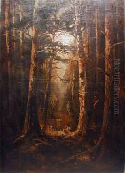 Foret En Hiver - view 1