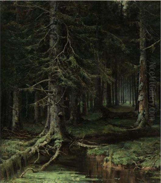 Forest - view 1