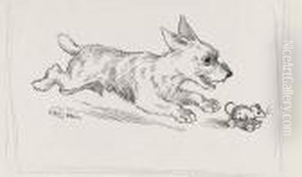 The Roller-skating Mouse - view 1