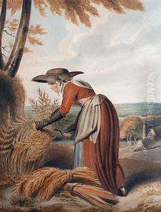 A Young Woman Harvesting Corn