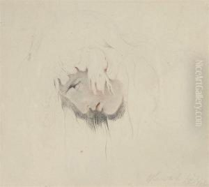 Head Of A Young Man Head Of A Young Man