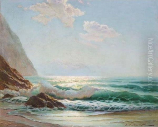 Waves On The Shore - view 1
