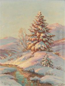 Pine Tree In The Snow
