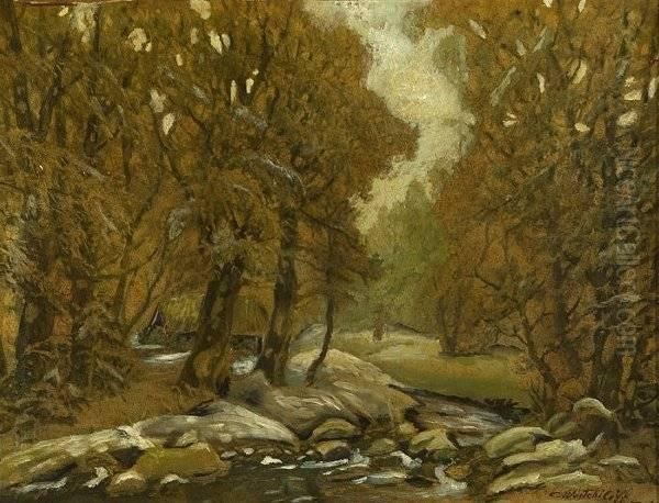 Forest Landscape - view 1
