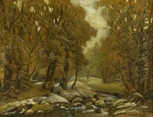 Forest Landscape Forest Landscape