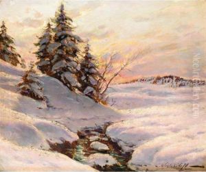 Winter Sun Winter Sun
