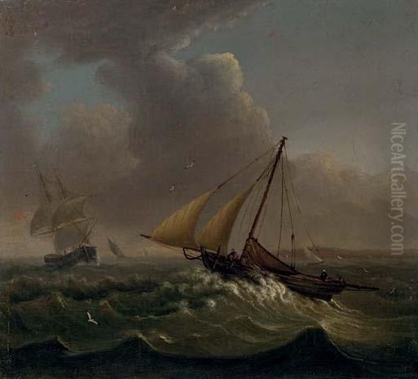 Fishing Off The Coast With Other Shipping In The Distance - view 1