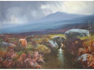 A Dartmoor Scene