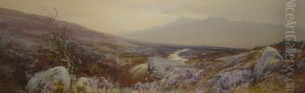 A Moorland Landscape - view 1