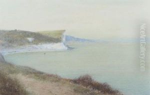 On The Devonshire Coast by John White