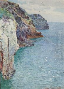 Bossiney Cove, Near Tintagel, Cornwall by John White