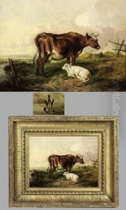 Kuh Mit Kalb In Weiter Landschaft Kuh Mit Kalb In Weiter Landschaft