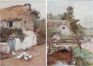 Feeding The Geese; Looking For Tiddlers by John White