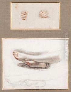 Study Of Hands And Feet
