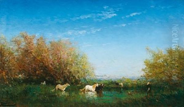 Chevaux Sauvages - view 1