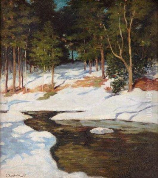 L'etang Enneige Dans La Foret - view 1