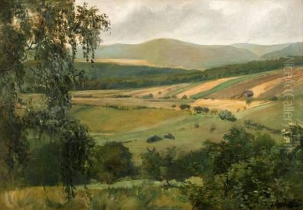 Paysage - view 1
