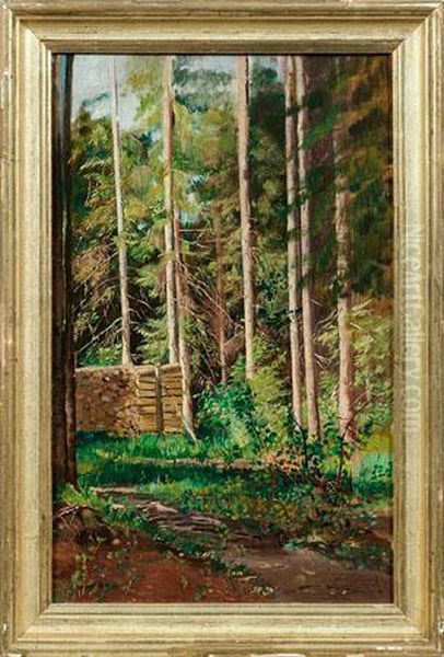 Holzstos An Einem Waldweg - view 1