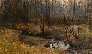 Woodland Stream Woodland Stream