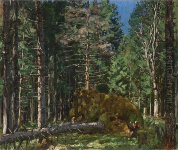 Pine Forest - view 1