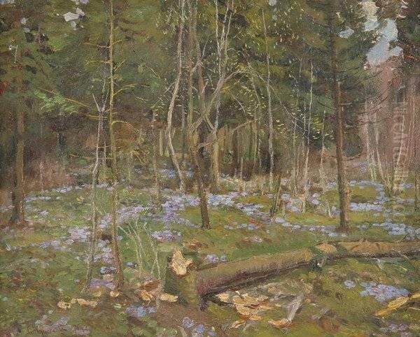 Forest In The Springtime - view 1