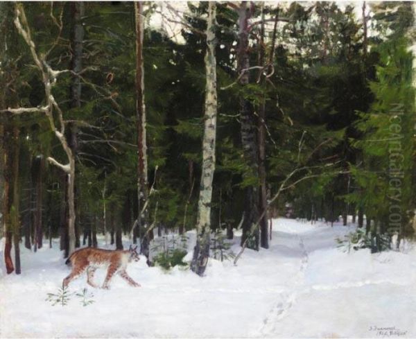 Lynx In Wood Clearing - view 1