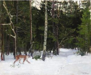 Lynx In Wood Clearing