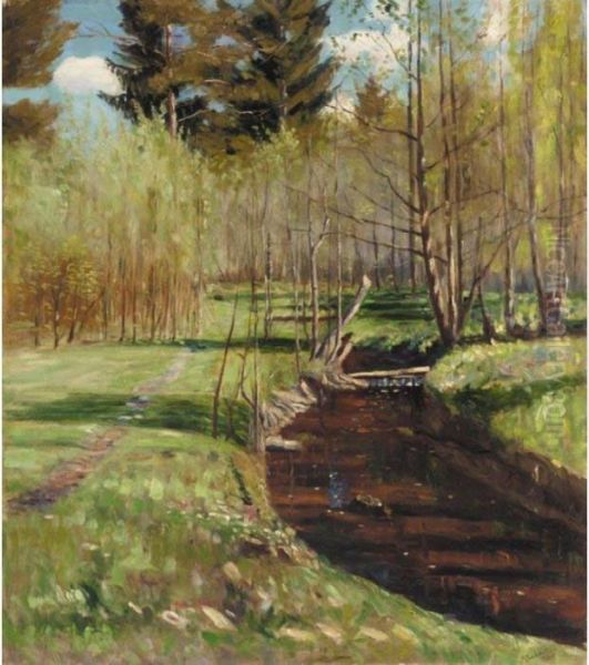 Forest Stream - view 1