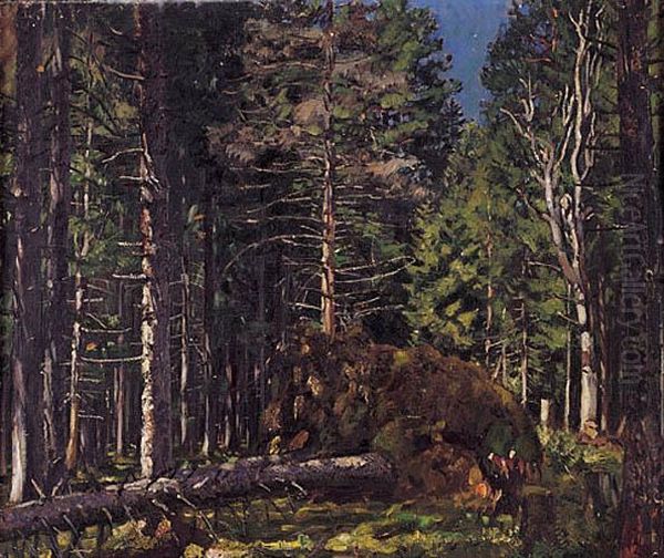 Puszcza Swislocka, 1934 R. - view 1