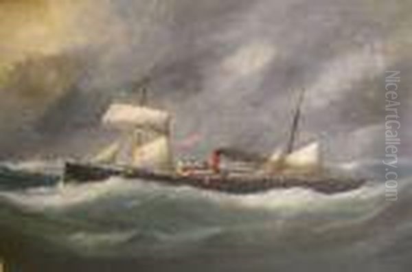 Steam Ship On Squally Seas - view 1