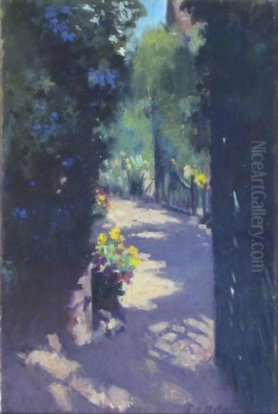 A Sunlit Garden Path - view 1