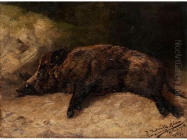 Erlegtes Wildschwein - view 1