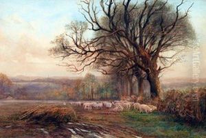 Sheep Grazing In A Country Landscape Sheep Grazing In A Country Landscape