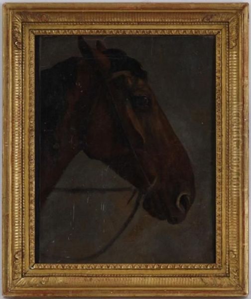 Tete De Cheval - view 1
