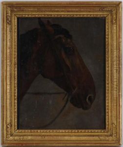 Tete De Cheval