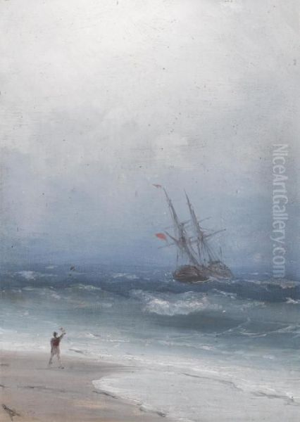 Stormy Coast - view 1