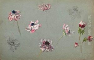 Estudios De Flores by Julia Alcayde Montoya