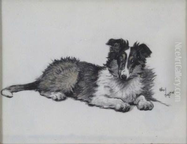 A Collie Dog - view 1