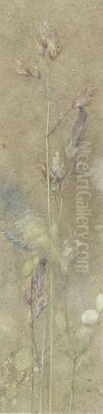 Seed-head Study - view 1