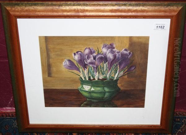 Still Life - view 1