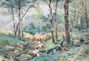 Le Ruisseau A L'oree De Bois