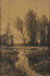 Paysage A La Riviere Et Aux Arbres