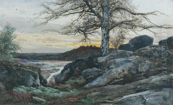 La Foret De Fontainebleau - view 1