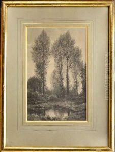 Paysage A L'etang