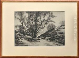 Paysage