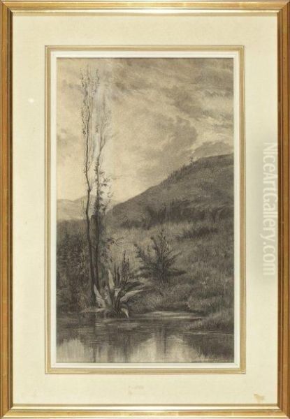 Paysage A La Mare - view 1